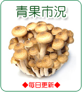 �ʎs��