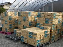 �����l�Q